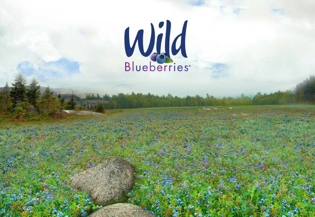 Wild Blueberries